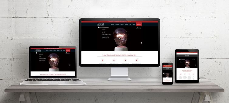 Business Websites